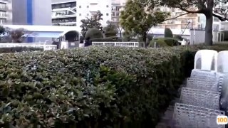 CJOD-341 ラブホ女子会に呼び出され朝までお泊り中出しさせられた僕 小悪魔女子二人に挟まれ甘サド淫語で痴女られる！ 木下日葵 森日向子mp4